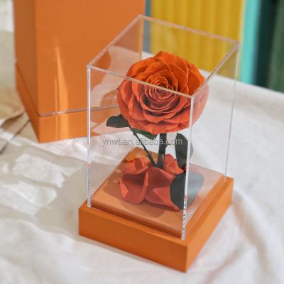 China Natural Fresh Rose With Stem Rose Life Forever Box Preserved Eternal Everlasting Roses Natural Round Gift Real Flower for sale