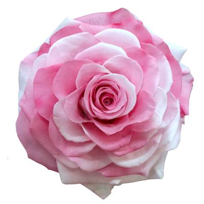 China Home Eternal Flower Real Rose Mini Home Decor Artificial Flowers Preserved Decor/Gift Gift Box for sale