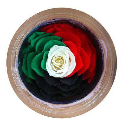 China Real Mini Home Decor Mother Gift Box Immortal Flower Home Decor/Gift Girlfriend Lover Eternal Valentine's Day Gift Preserved Rose for sale