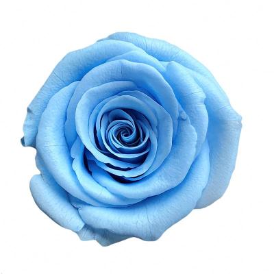 China Multicolor Immortal Flower 2-3cm Ecuador Real Preserved Roses Head For Home Decor for sale