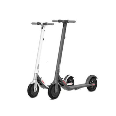 China High Quality Newest Design Fast Electric Scooter Unisex For Adults for sale