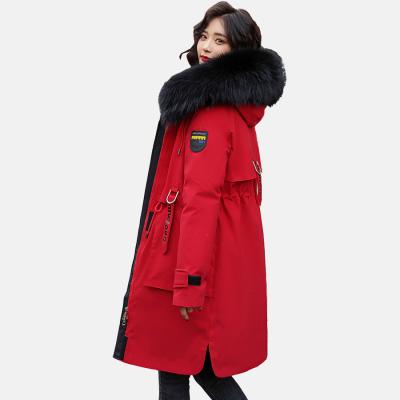 China 2021 New Arrival Women's Winter Coats Women's Casual Coats Breathable Fashion Women's Hooded Coats Winter For Ladies for sale