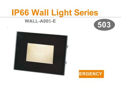 China 4.0mm Glass Cover IP66 LED Anti-glare Outdoor Emergency Wall Light for Corridor and Garden for sale