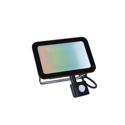 China Eco-Friendly Outdoor Materials Environmental Friendly Lights With Moving Control RGB/RGBW Led Flood Light For Garden for sale