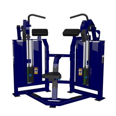 China 2019 Pin Loaded Hammer Safe Best Selling Fitness Equipment Biceps Curls Wholesale for sale