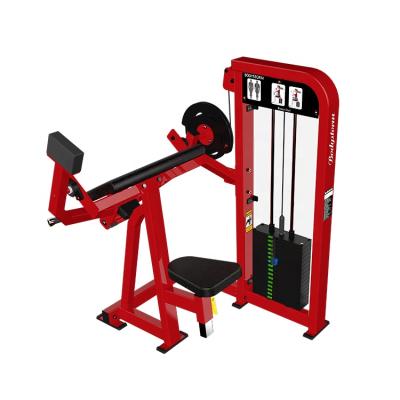 China Bodybuilding Wholesale Fitness Equipment Power Machine Bestselling Biceps Curl for sale