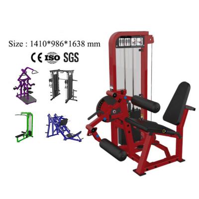 China Commercial Fitness Bench Gym Leg Extension Adjustable Leg Curl Flat Loaded Seated Press Machine for sale