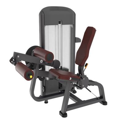 China Gym Equipment Fitness Equipment Safe Commercial Product Seated Leg Extension and Curl Machine for sale