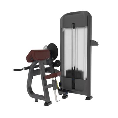 China Safe Commercial Gym Equipment Fitness Equipment Bench Press Product Biceps /Triceps Machine for sale