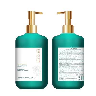 China Refreshing Factory New Arrival 300ml Lasting Fragrance Amino Acids Shampoo for Deep Cleaning Hair for sale