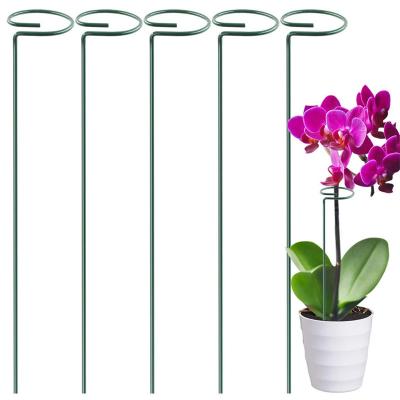 China Suitable for single stem plants such as wholesale reusable vegetable plant 16 inch garden flower metal plant support for sale