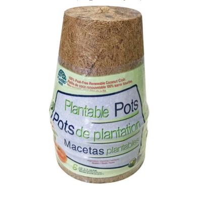 China Modern Biodegradable Coconut Fiber Pots for sale