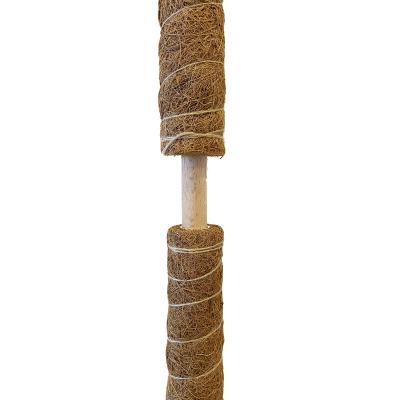 China CLASSIC 24 Inch Grabbing Pole Natural Coir Moss Pole For Climbing Plant for sale