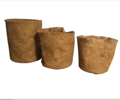 China Biodegradable Natural Garden Nursery Coconut Peat Pots For Seedlings for sale