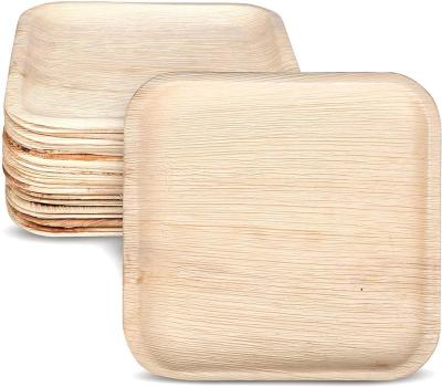 China 10 inch square disposable palm leaf dishes for sale