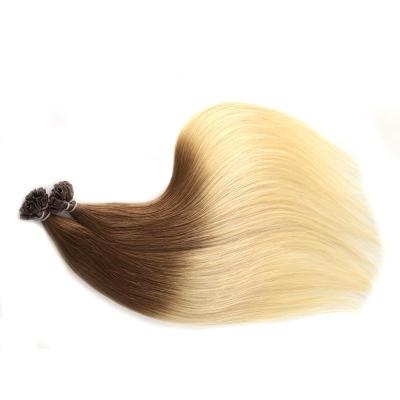 China 100% Top Quality Silky Straight Neitsi T8/22 Hair Nail U Tip Hair Extension for sale