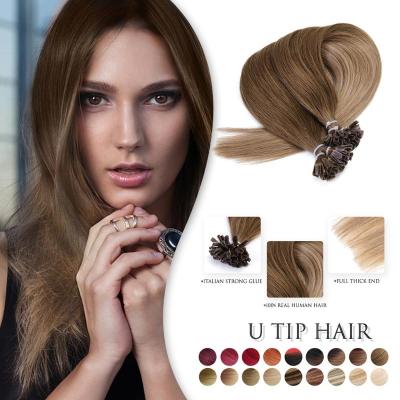 China Neitsi Silky Straight Nail U Tip Machine Straight Human Remy Pre-Bond Natural Hair Fusion Hair Extensions 100% Keratin Capsules 16