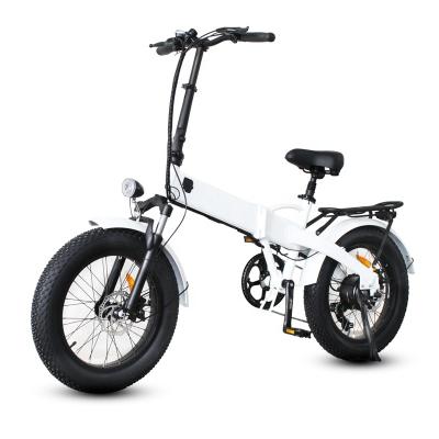 China 20 Inch Fat Tire Electric Bicycle Super Standard Electric Bike Mountain Use For Adult for sale