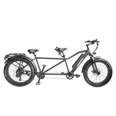 China 2021 new release aluminum alloy Tandam fat MTB cargo ebike lithium battery 2 seats 48V 750W/1000W 26 inch fat tire electric bicycle for sale