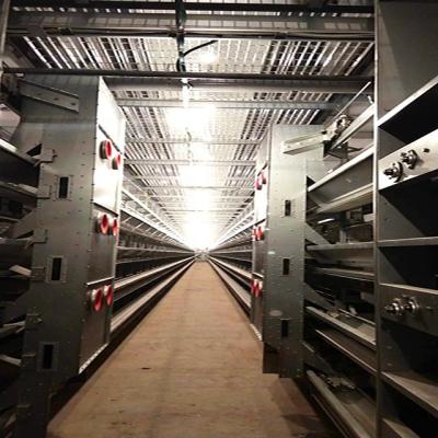 China Poultry Farm Chicken Feeding 15 Ton Fodder Silo Available For Poultry Farm Chicken Cage Systems Fully Automatic Feeding for sale