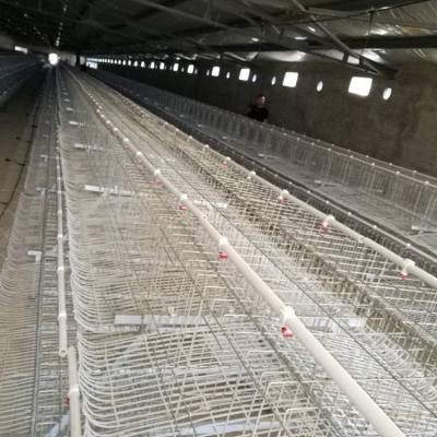 China Cheap Price Full Automatic Chick Animal Baby Layer Chicken Cages Poultry Farm System A Type Battery Cage Layers For Sale In Zimbabwe for sale