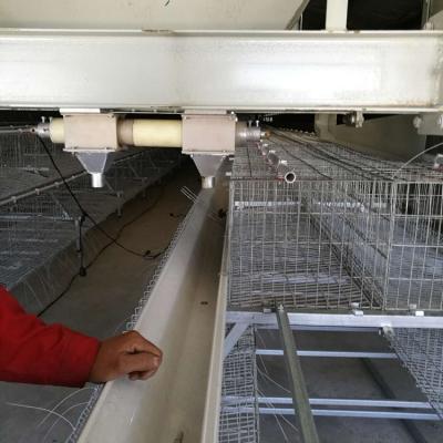 China Chicken Farm Pakistan Hot Sale Poultry Farming Equipment 2 Tiers A-frame Layer Chicken Cage With Automatic System For Sale for sale