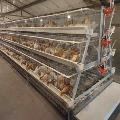 China Chicken Farm Philippines Hot Sale Galvanized 2 Tiers A-Frame Layer Chicken Cages With Automatic System For Sale In India for sale