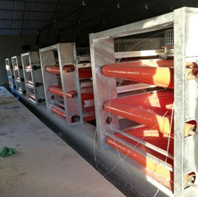 China Full Automatic Chicken Farm Supply Poultry Farm Battery Meat Cage Equipment H Type Broiler Cages House System For Sale In Bangladesh for sale