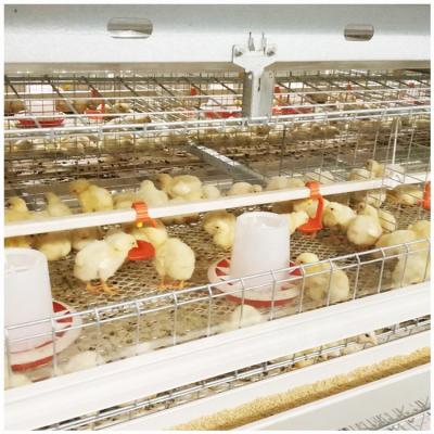 China Fully Automatic Easily Clean Poultry Farming System Chicken Farm Equipment Barn Design Battery Broiler Chicken Cage For Sale for sale