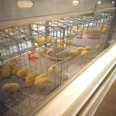 China Baby Chick Farms Poultry Farm Egg Equipment 4 Tiers H-frame Battery Full Automatic Pullet Raising Cage System For Chicken Brood for sale