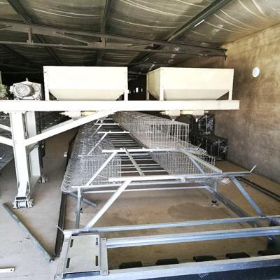 China Grows 3 Rows Full Automatic A-frame Pullets Rearing Cage System With Automatic Fertilizer Belt Cleaning System for sale