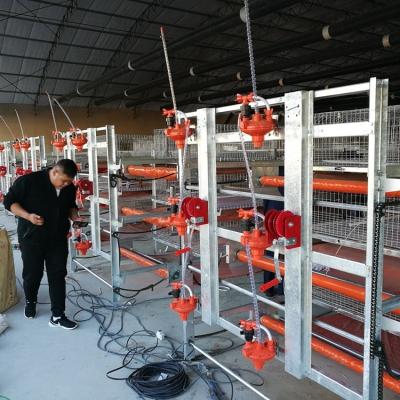 China Farms 2019 Hot H-frame Full Automatic Pullets Raising Chicken Brood Cage System for sale