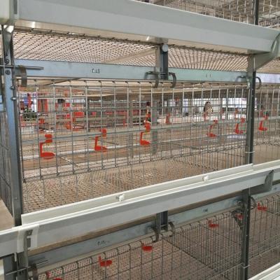 China 3 Tiers Automatic Full Automatic Battery Chicken Cage Poultry Farm House Design Pullets Raising Cage System with Fertilizer Belt in Malaysia for sale