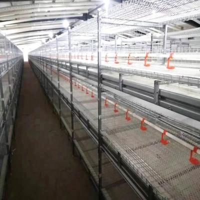 China Desgin House Poultry Farm Brooder Full Automatic High Quality Fully Automatic Rows Equipment Durable 3/4 Pullets Raising Battery Cage System for sale