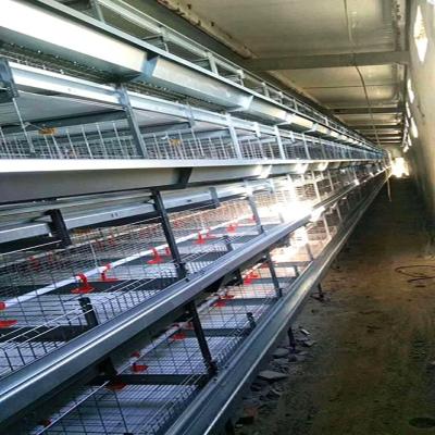 China Cheap Fully Automatic Farms Price H Style Chick Cage Pullets Raising Cage System Layer Brood Chicken House Plans For Poultry Farm India for sale