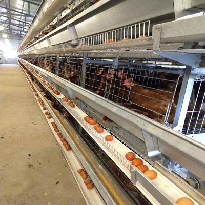 China Farms Good Quality And Durable Capacity 160 Birds Chicken Cages Layer Battery Cage For Poultry Farming for sale