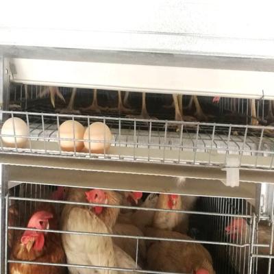 China Cultivate Fully Automatic 4 Rows H-frame Style Chicken Poultry Battery System Chicken Egg Production Farm Equipment Cage For Sale In India for sale