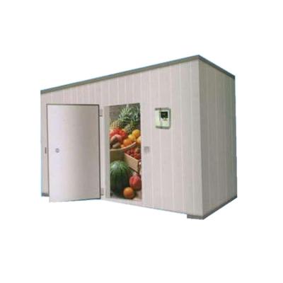 China Waterproof Professional Industrial Freezer Room Low Temperature Cold Storage for sale