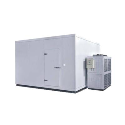 China Custom Automatic Control System Food Storage Walk In Cold Room Indoor Unit Small Cold Room For Sale for sale