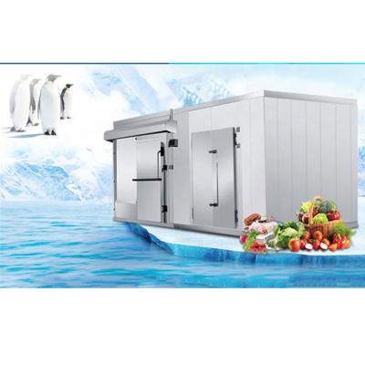 China Solar Refrigeration Avocado Painel Sandwich PU Refrigerator Cold Room Storage For Yogurt Condensing Unit For 10hp Cold Room Kit DC Compressor for sale