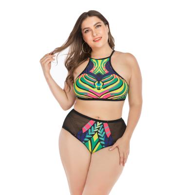 China OEM Brown Plus Size Bikini Plus Size One Piece Swimwear 2021 Plussize Swimwear Swimwear Pink Plus Size Bathing Suit for sale