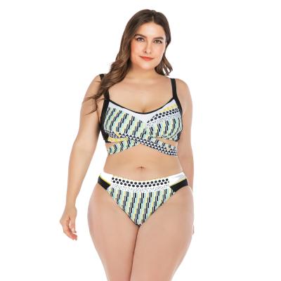 China Luxury red two piece swimsuit women bikini summer size swimwear plus size swimwear plus size curvy swimsuit 2021 for sale