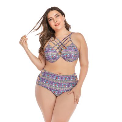 China Bikini plus size seller set fashionable swimwear plus size swimwear women custom plus size swimwear 2021 for sale