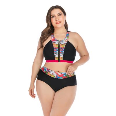 China Plus Size Bikini New Arrival Swimsuit Black Plus Size Fashion Swimwear For Fat Women Black Women In Thongs for sale