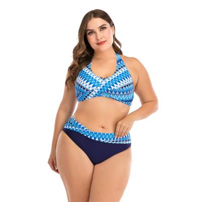 China Dropshipping Plus Size Mesh Bikini Swimwear Woman Bathing Suits Cover Up Plus Size Two Piece Swimsuit for sale