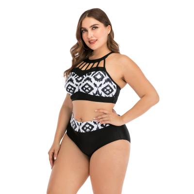 China Plus Size Vendor Bikini Plus Size Swimwear Women Xxl Swimwear Bath Cover Up Skirt Swimwear Plus Size 2021 for sale