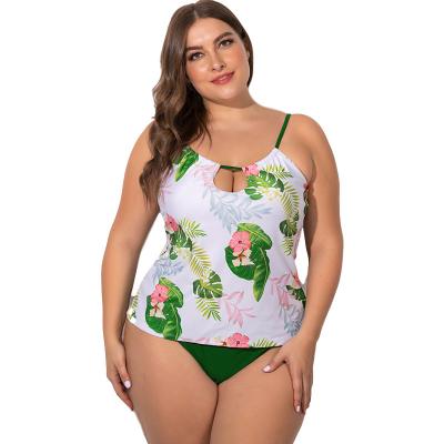 China Swimwear 2022 Plus Size Bikinis Wholesale Plus Size Designer Women's Bathingsuits 2 Piece Plus Size Bathing Suit for sale