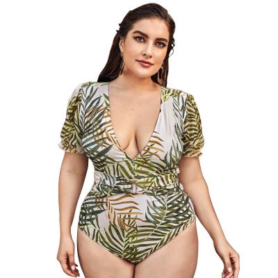 China Plus Size Vendor Designers Bikini Swimwear Plus Size Brazilian Swimwear Suits Plus Size Swimwear Bathing Suits for sale