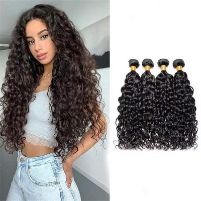 China Factory Wholesale 10A 100% Raw Water Wave Brazilian Virgin Remy Hair 3 Bundles Water Wave Hair Extensions for sale