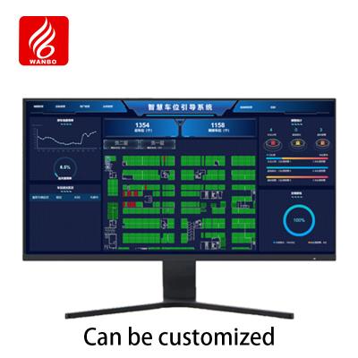 China WBPMM Video Parking Guidance Software V6.0 Biedt RealTime Parkeerstatus Parkeerterrein Statistiek Te koop